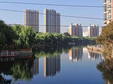 为什么这么多人信“2025新澳门正版免费正题175”？真相来了！